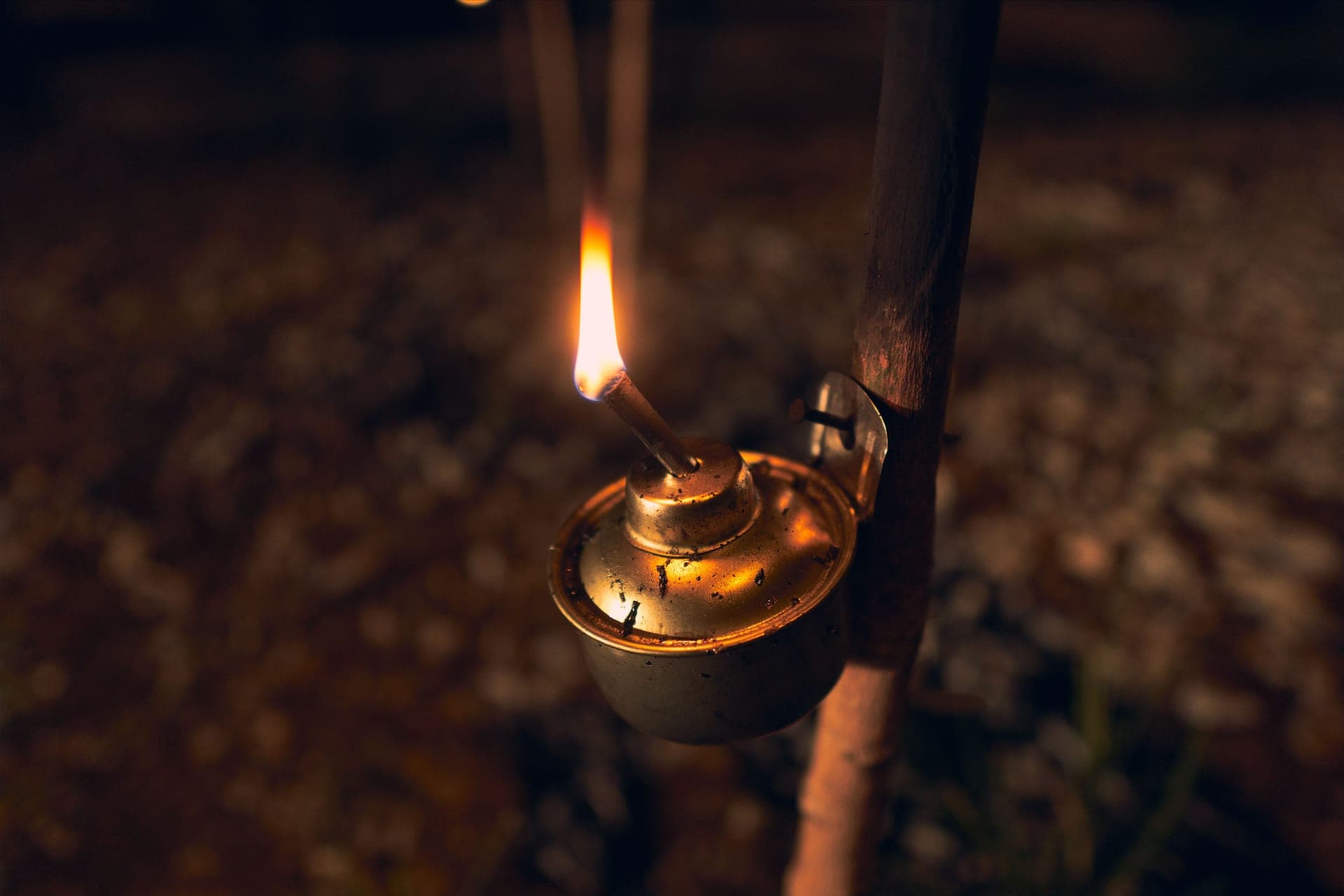 An outdoor lamp glowing warm in the evening