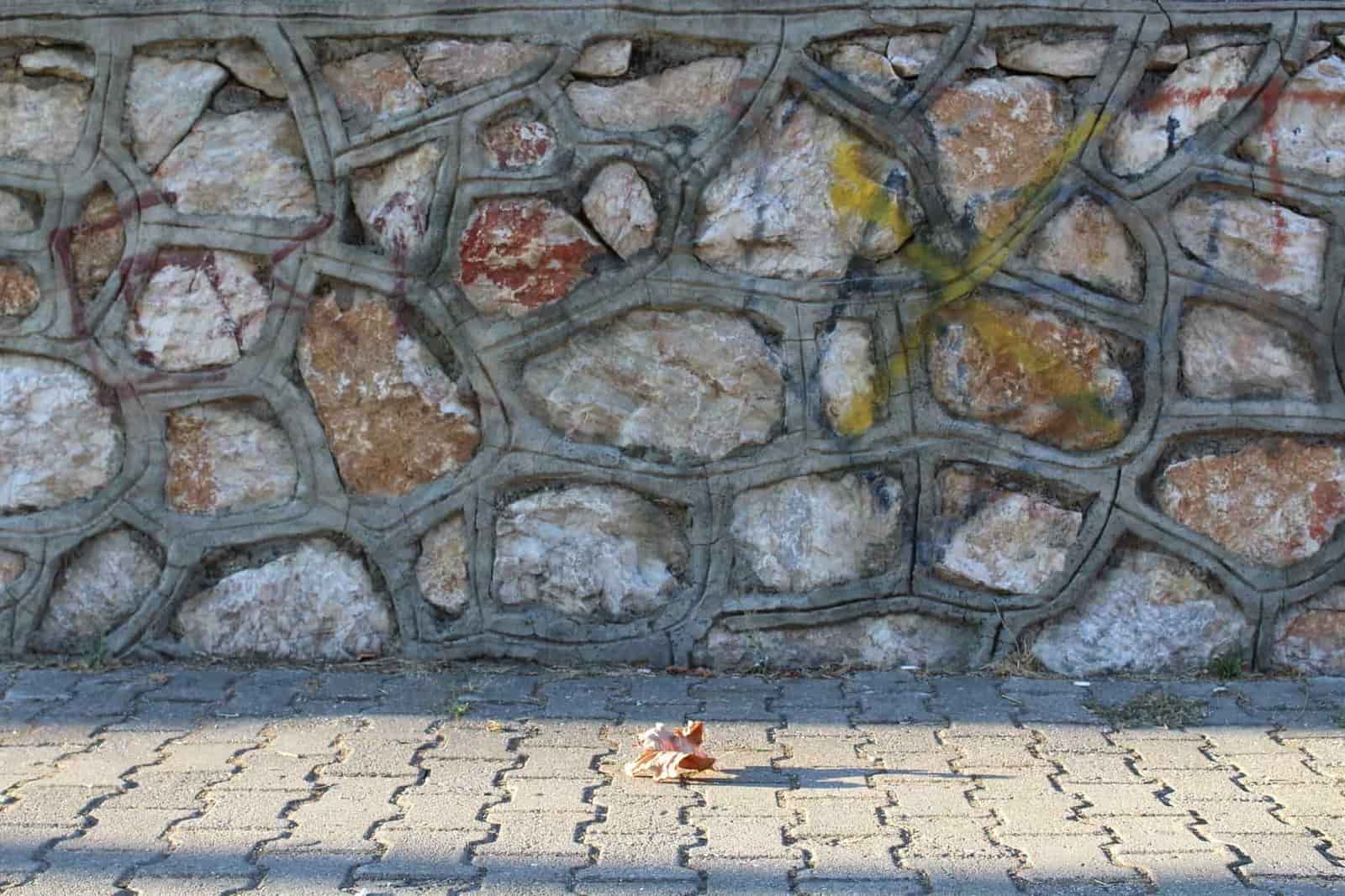 Fallen autumn leaves against a stone wall in low sunlight