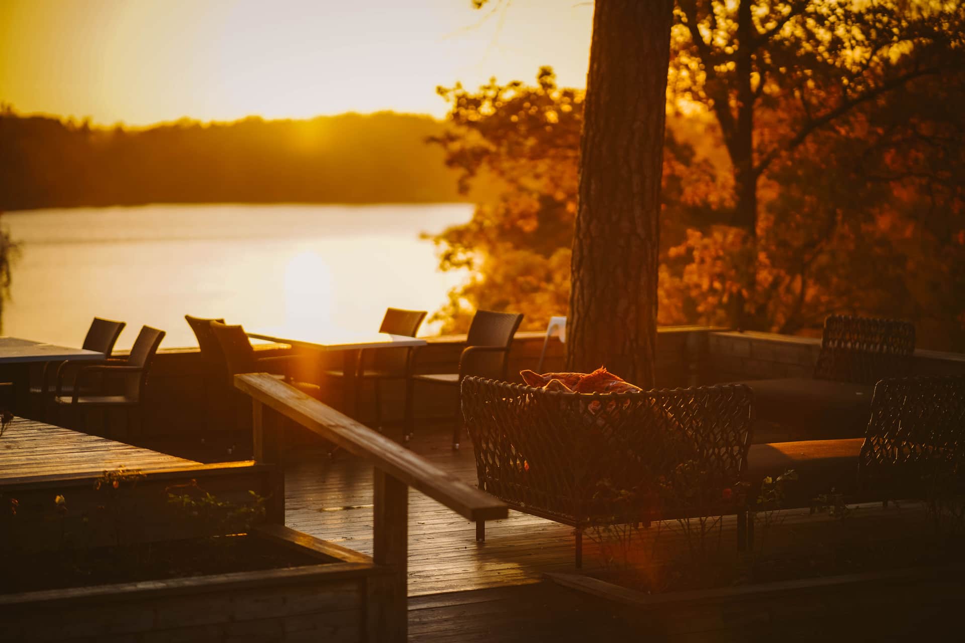 A terrace at sunset with low light across the decking